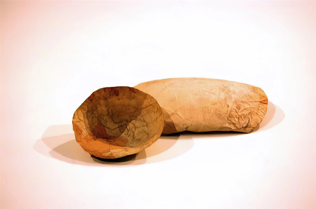 Eva Hesse Sculpture: Deconstructing Form and Emotion - HAUSER WERTH by Eva Hesse