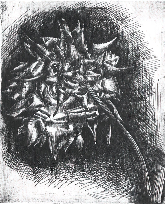 Framed Escher Prints: A Curator's Guide to Displaying Mathematical Art - FLOWER by MC Escher