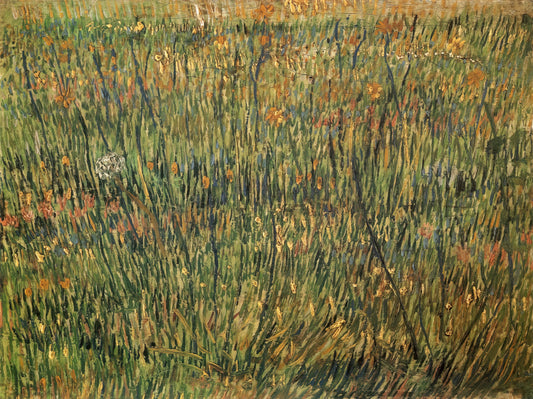 Garden at Arles Print: Vincent van Gogh's Provençal Paradise in Art - Pasture in Bloom by Vincent van Gogh