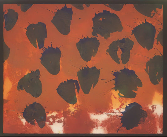 Howard Hodgkin Prints for Sale: A Collector's Guide to the Master of Emotional Abstraction - Venice, Afternoon - 1995 by Howard Hodgkin