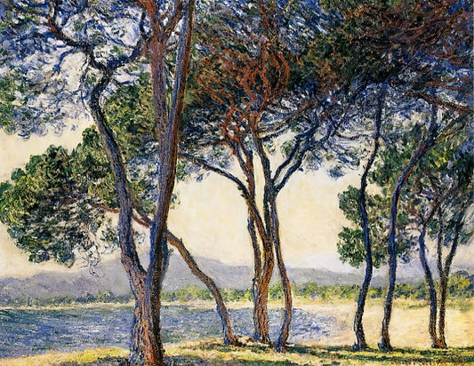 Impressionism Water Lilies: Monet's Masterpiece and the Art of Light - Trees by the Seashore at Antibes by claude monet