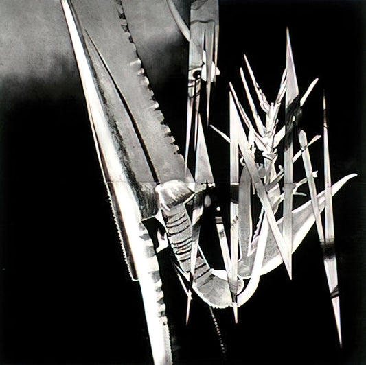 James Rosenquist Painting: A Guide to the Pop Art Pioneer's Monumental Vision - The Prickly Dark by James Rosenquist