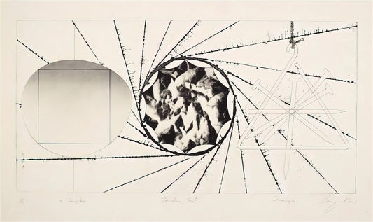 James Rosenquist: The Pop Art Pioneer Who Transformed American Visual Culture - Sunglasses - Landing Net - Triangle by James Rosenquist