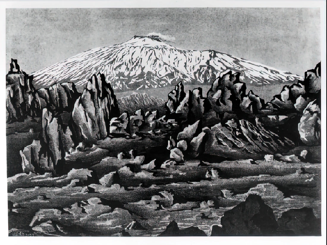 Lithograph Relativity: Decoding M.C. Escher's Masterpiece of Impossible Architecture - ESCHER (15) by MC Escher