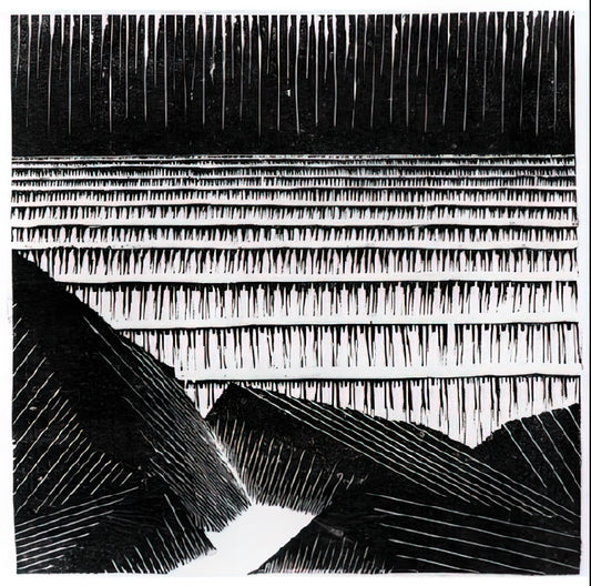 M.C. Escher Color Prints: A Journey into the Artist's Chromatic Illusions - ESCHER (4) by MC Escher