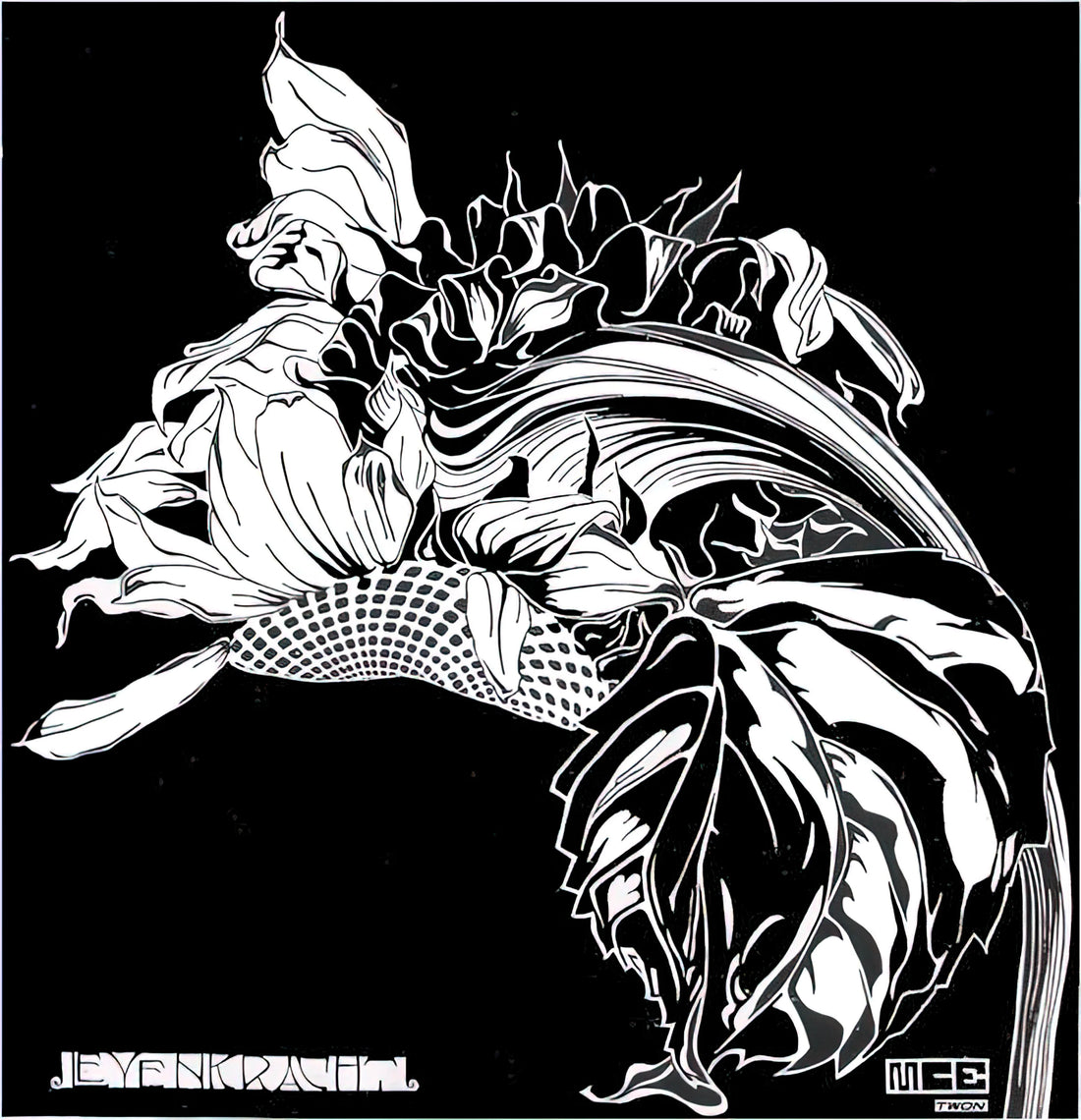 M.C. Escher Complete Works: A Curator's Guide to the Master of Impossible Realities - LIFE FORCE by MC Escher