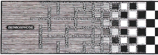 M.C. Escher Framed: A Collector's Guide to Displaying Impossible Worlds - METAMORPHOSIS II EXCERPT 1 by MC Escher