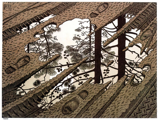 M.C. Escher Illusions: The Art of Impossible Reality and Visual Paradox - PUDDLE by MC Escher
