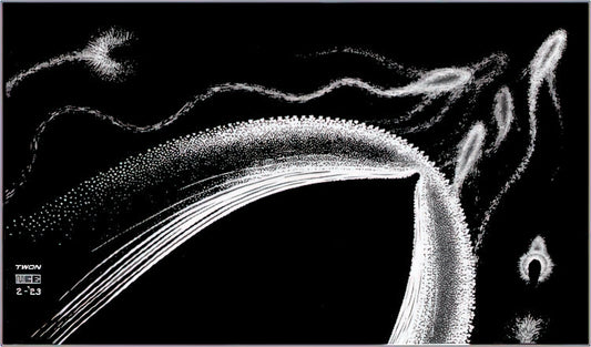 M.C. Escher Infinity: The Mind-Bending Art of Impossible Realities - DOLPHINS by MC Escher