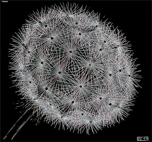 M.C. Escher Original Art: The Mind-Bending Legacy of a Graphic Genius - BLOWBALL II by MC Escher