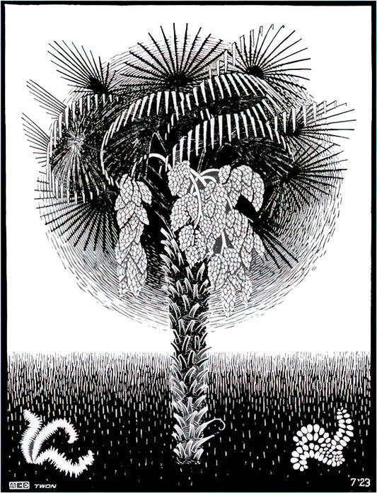 M.C. Escher Reproductions: A Collector's Guide to Museum-Quality Prints - PALM TREE by MC Escher