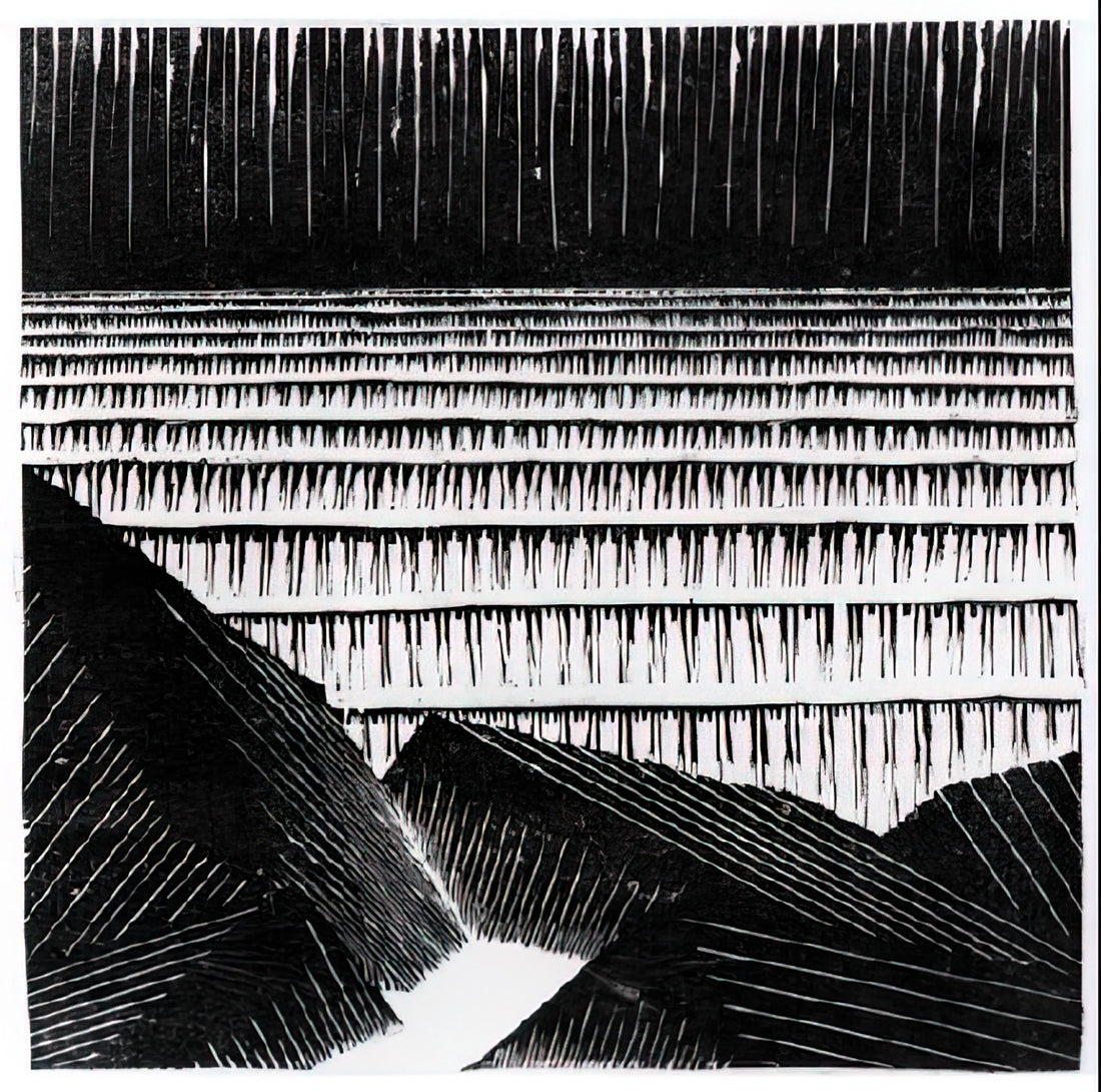 M.C. Escher: The Master of Mathematical Art and Optical Illusions - ESCHER (4) by MC Escher