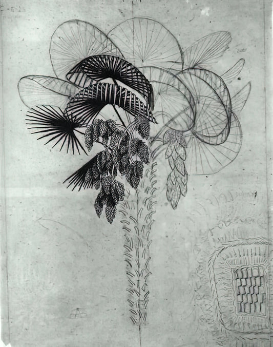 M.C. Escher: The Master of Mathematical Art and Optical Illusions - PALM TREE SKETCH by MC Escher