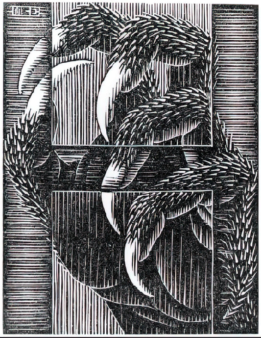 MC Escher Chess: The Mind-Bending Geometry of Impossible Games - ESCHER (13) by MC Escher