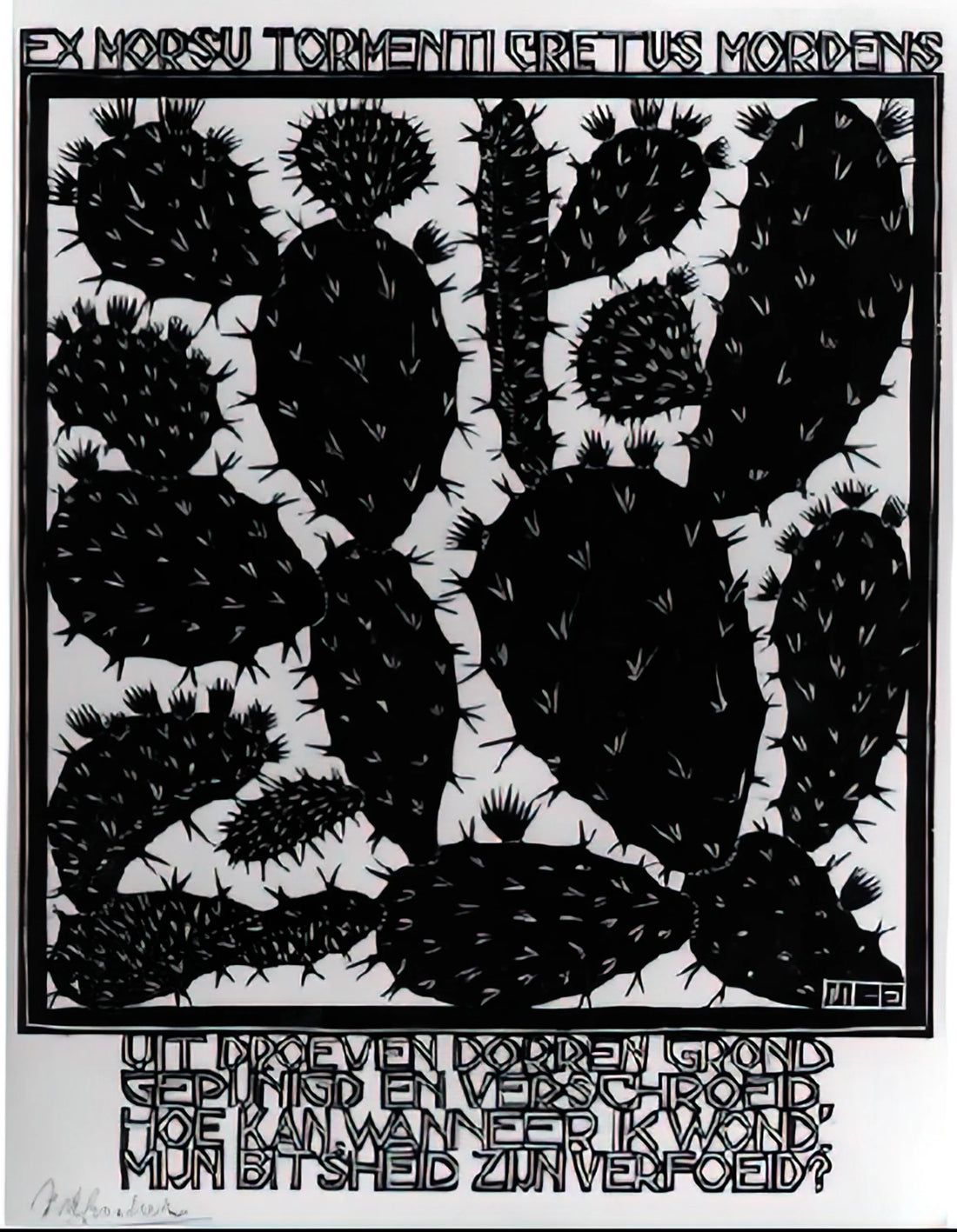 Maurice Escher: The Master of Mathematical Art and Optical Illusions - EMBLEMATA CACTUS by MC Escher