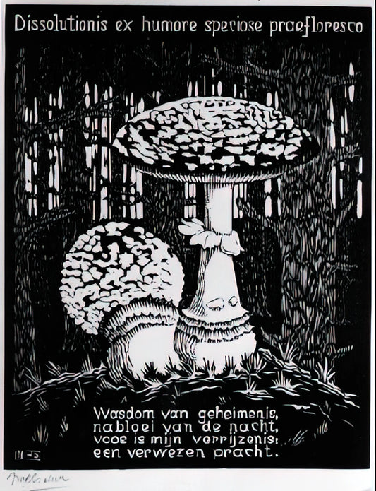 Maurits Cornelis Escher Puddle: Exploring the Master's Reflection on Reality - EMBLEMATA TOADSTOOL by MC Escher