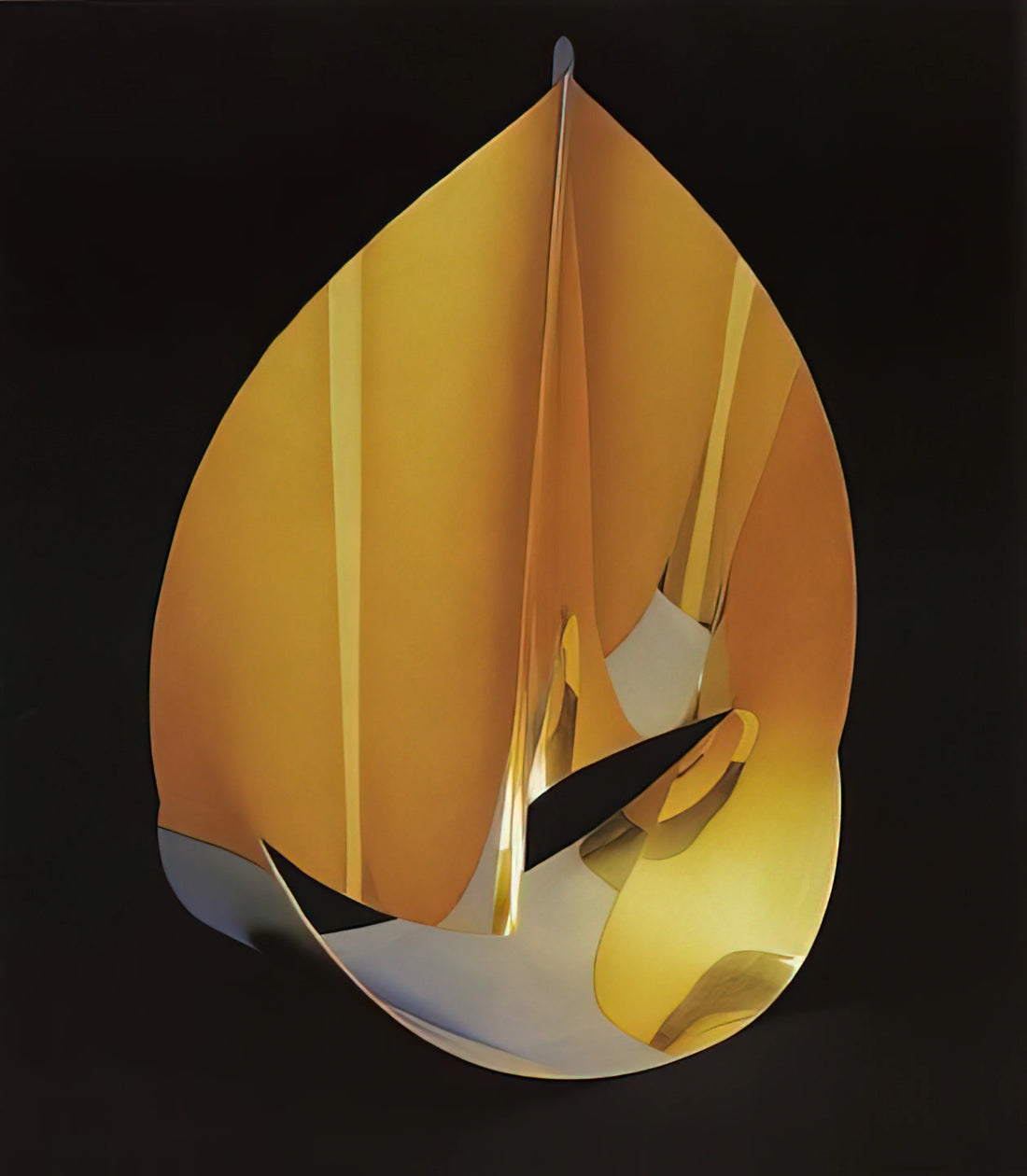 Max Bill Automatic 34mm: The Intersection of Swiss Design, Art, and Horology - Area of a pentagon in space with plain circumference - 1977 by Max Bill