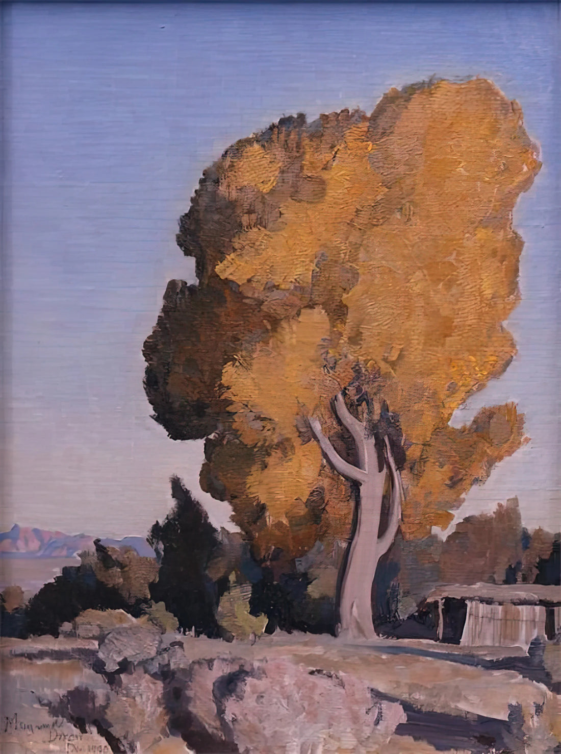 Maynard Dixon Framed Art Print: A Collector's Guide to the American West Master - LOW COUNTRY COTTONWOOD 1940 by Maynard Dixon