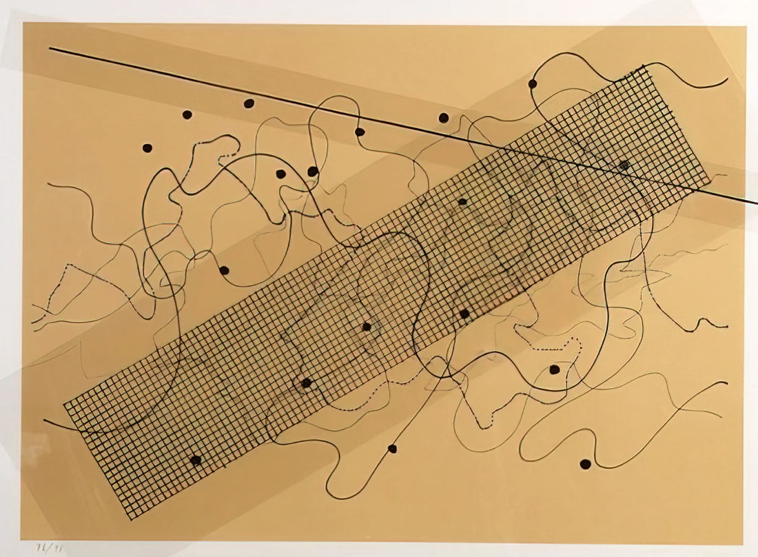 Nam June Paik and John Cage: The Radical Collaboration That Redefined Art and Technology - Fontana Mix OrangeTan - 1981 by John Cage