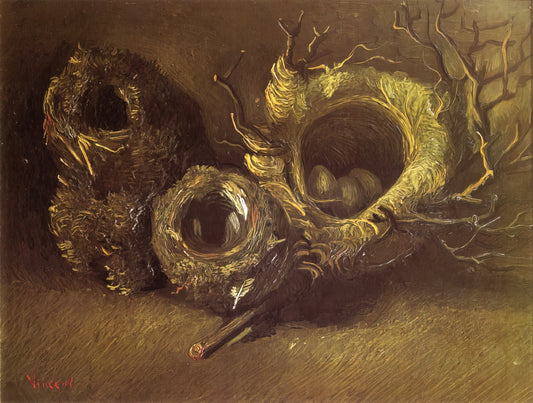 Prints of Van Gogh Paintings: A Curator's Guide to Museum-Quality Reproductions - Still Life with Three Birds Nests by Vincent van Gogh