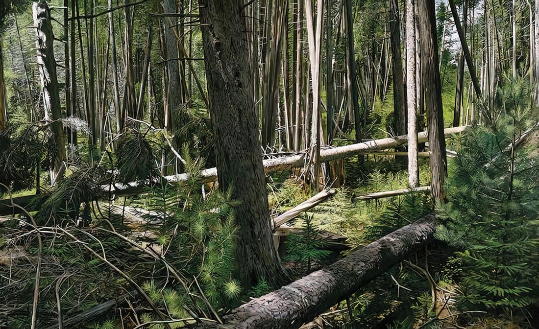 Richard Estes Posters: The Photorealist Revolution in Print - NEAR HUNTERS BEACH ACADIA NATIONAL PARK 2008 by Richard Estes
