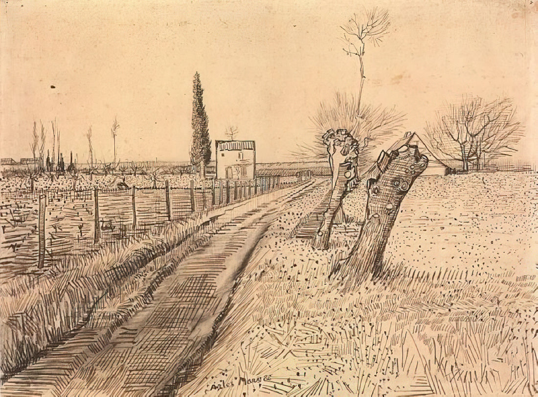 Starry Starry Night Poster: A Guide to Van Gogh's Masterpiece in Print - Landscape with Path and Pollard Trees by Vincent van Gogh