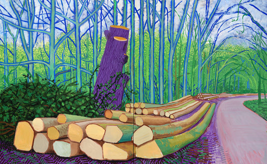 Sunbather Hockney: Capturing California's Light and Leisure in Art - David Hockney by David Hockney