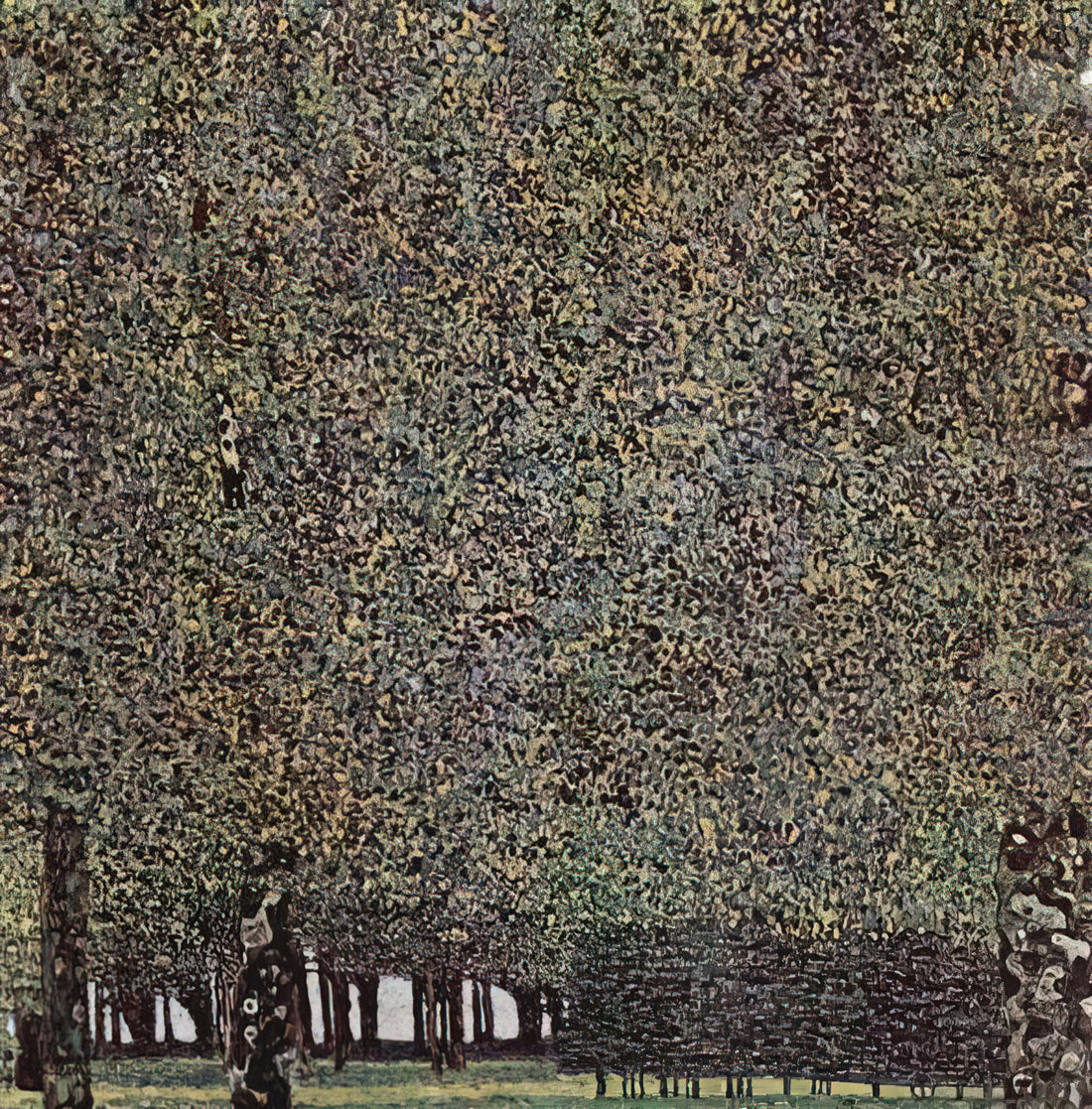 The Patronage of Ferdinand Bloch-Bauer and Gustav Bloch-Bauer: Guardians of the Vienna Secession - PARK 1910 by Gustav Klimt