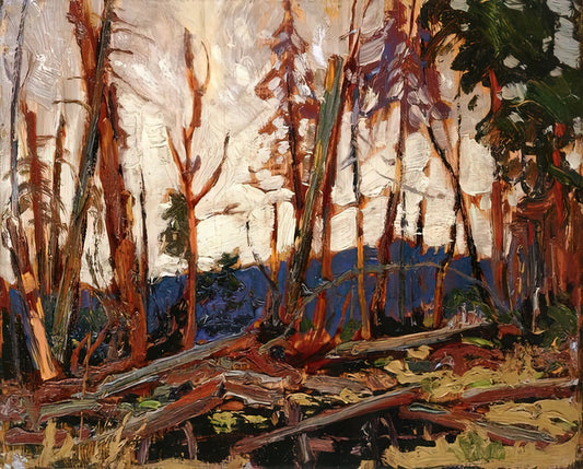Tom Thomson The Canoe: Exploring the Iconic Numbered Print and Its Legacy - BURNT COUNTRY EVENING SKETCH FOR BURNT LAND 1914 by Tom Thomson