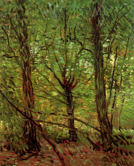 Toulouse-Lautrec and Van Gogh: A Study in Contrasts and Connections in Post-Impressionist Art - Trees and Undergrowth by Vincent van Gogh