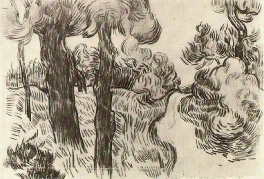 Van Gogh Art Prints for Sale: A Curator's Guide to Collecting Museum-Quality Reproductions - Path between Pine Trees by Vincent van Gogh