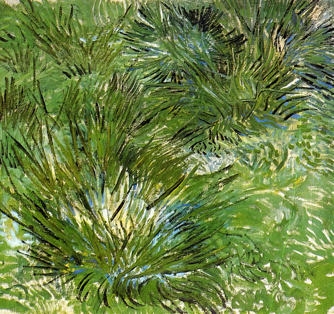 Van Gogh Framed Art: Curating Post-Impressionist Masterpieces for Your Collection - Clumps of Grass by Vincent van Gogh
