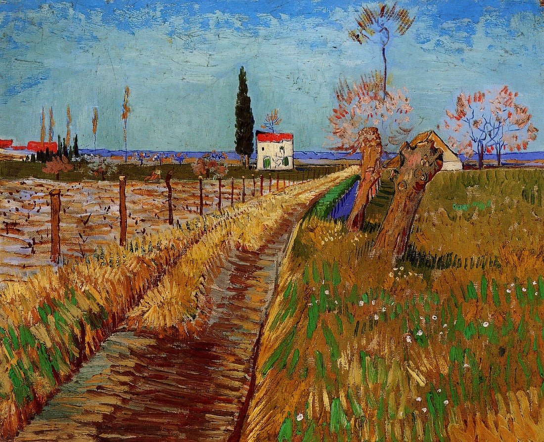 Van Gogh Mulberry Tree Print: A Masterpiece of Arles and Its Enduring Legacy - Path Through a Field with Willows by Vincent van Gogh