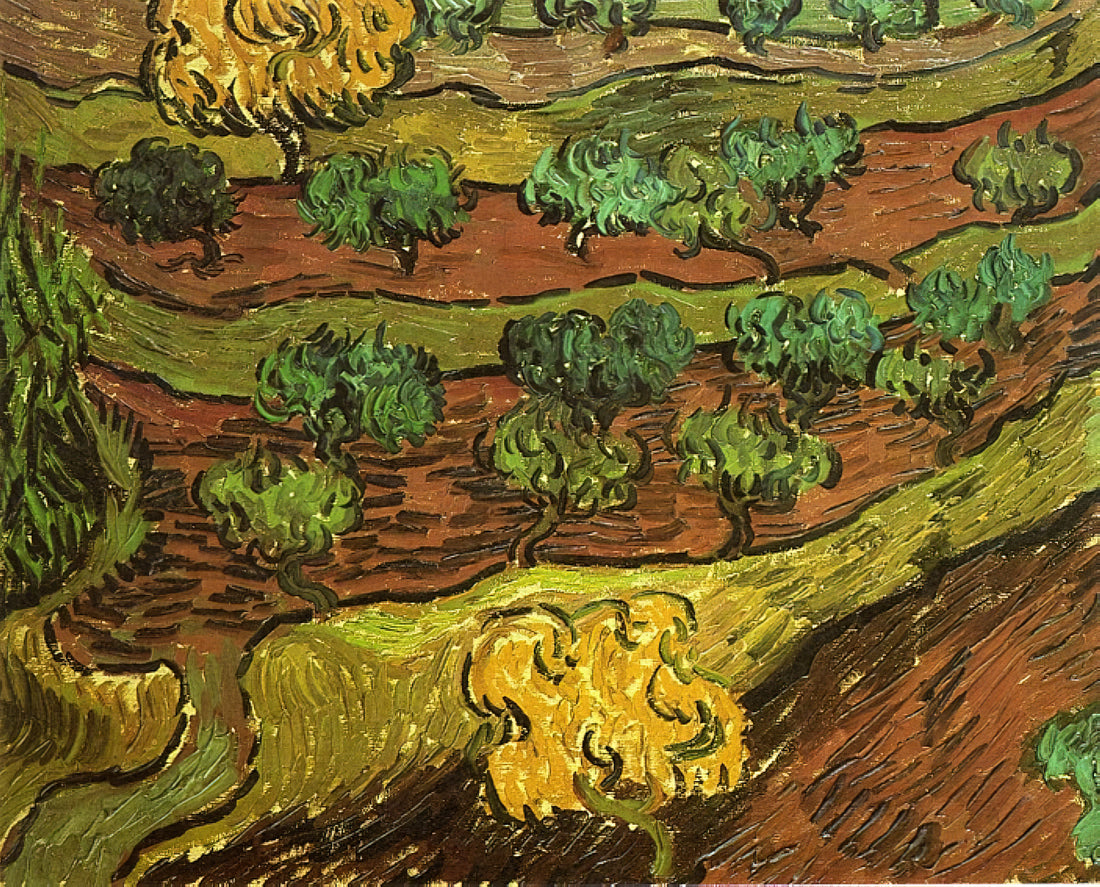 Van Gogh Museum Artworks: A Curator's Guide to the Master's Most Significant Pieces - Olive Trees against a Slope of a Hill by Vincent van Gogh