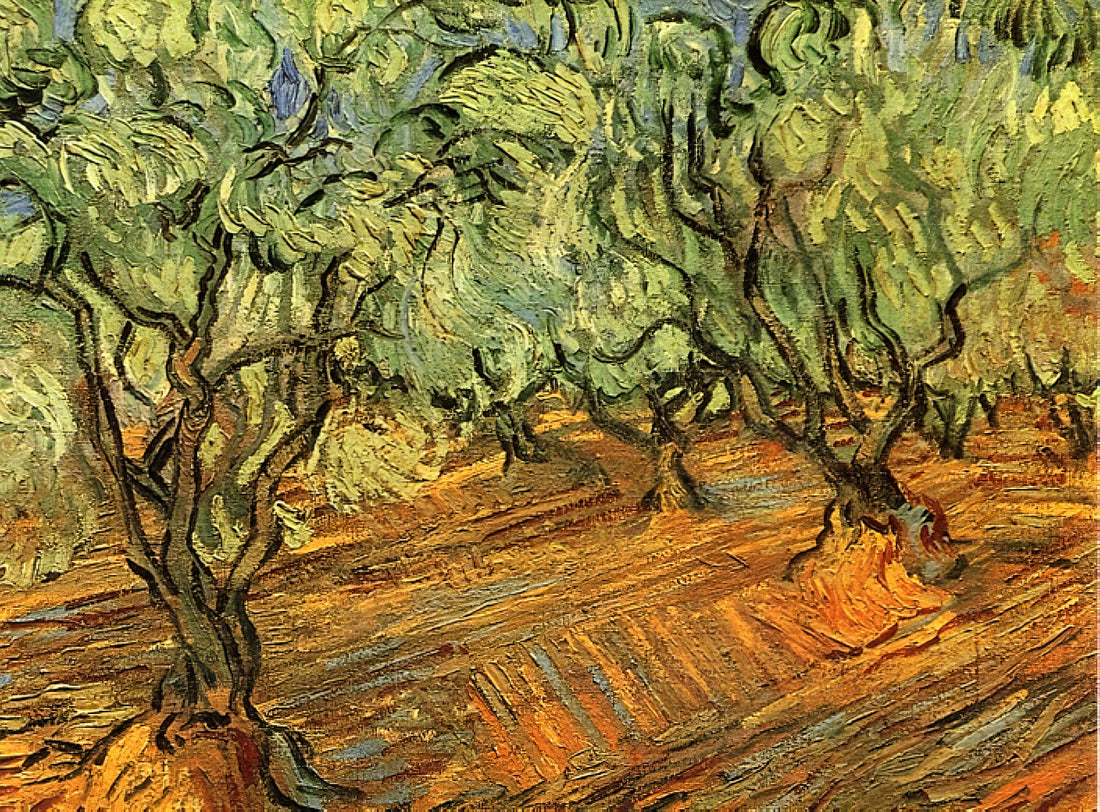 Van Gogh Prints to Buy: A Curator's Guide to Authentic Museum-Quality Reproductions - Olive Grove - Bright Blue Sky by Vincent van Gogh