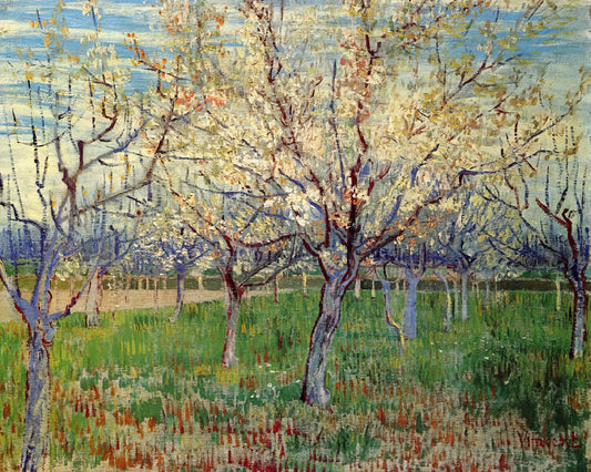 Van Gogh Replica Paintings: A Curator's Guide to Museum-Quality Reproductions - Orchard with Blossoming Apricot Trees by Vincent van Gogh