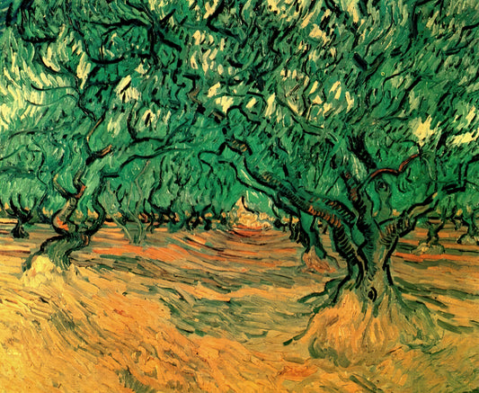 Van Gogh Reproductions on Canvas: A Curator's Guide to Authentic Art Prints - Olive Trees by Vincent van Gogh