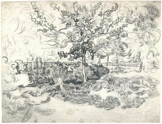 Van Gogh Reproductions on Canvas: A Curator's Guide to Museum-Quality Art Prints - Garden of the Asylum by Vincent van Gogh