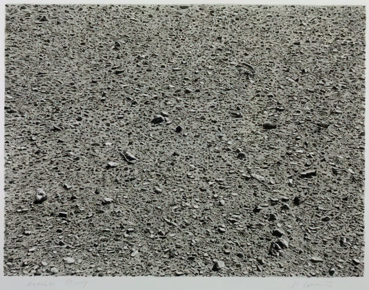 Vija Celmins Ocean Print: The Hypnotic Precision of Nature's Patterns - DESERT 1975 by Vija Celmins