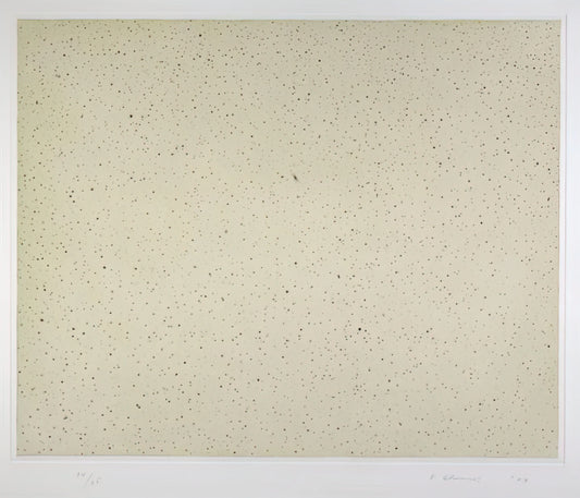 Vija Celmins Studio: The Meditative Precision of a Contemporary Master - NIGHT SKY 2 REVERSED 2002 by Vija Celmins