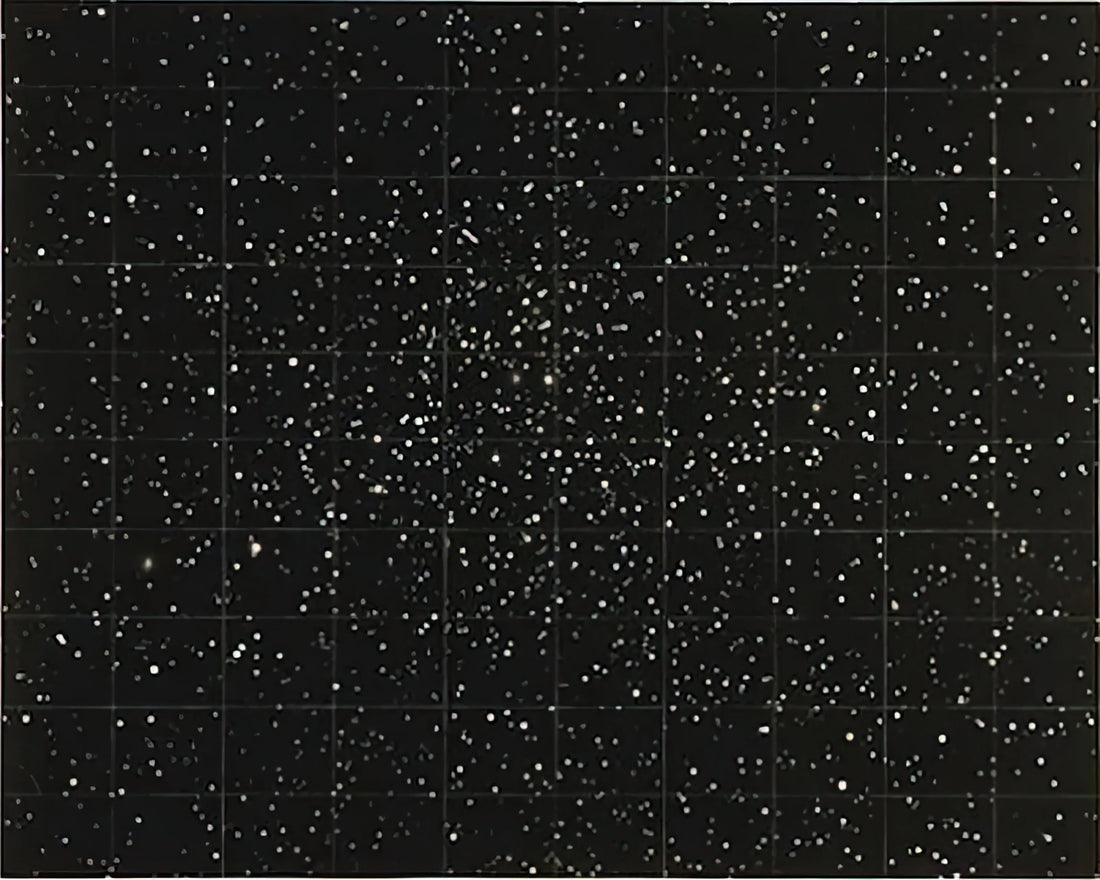 Vija Celmins Website: Exploring the Digital Archive of a Contemporary Master - STRATA 1983 by Vija Celmins