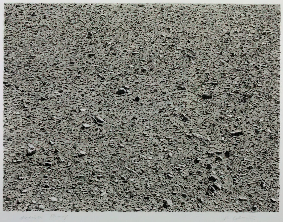 Vija Celmins: The Meditative Precision of Nature's Endless Surfaces - DESERT 1975 by Vija Celmins