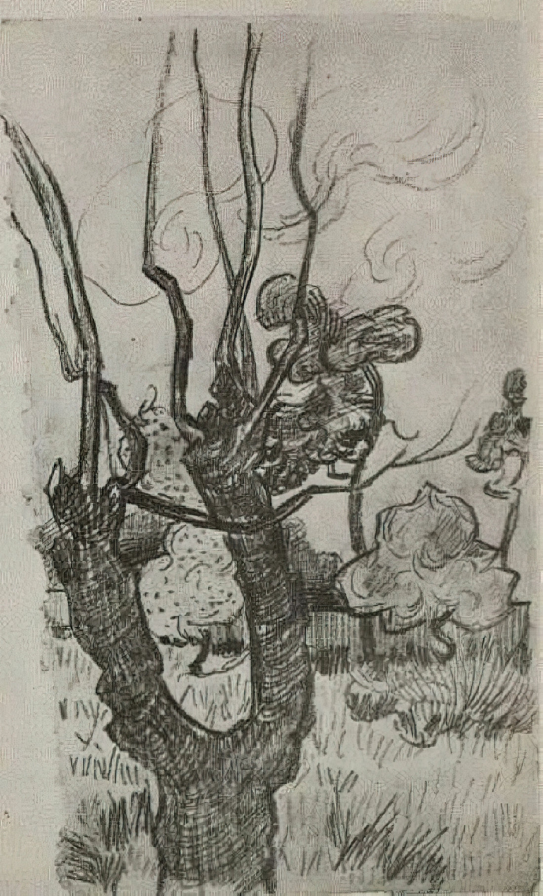 Vincent van Gogh Art Prints: A Collector's Guide to Museum-Quality Reproductions - A Bare Treetop in the Garden of the Asylum by Vincent van Gogh