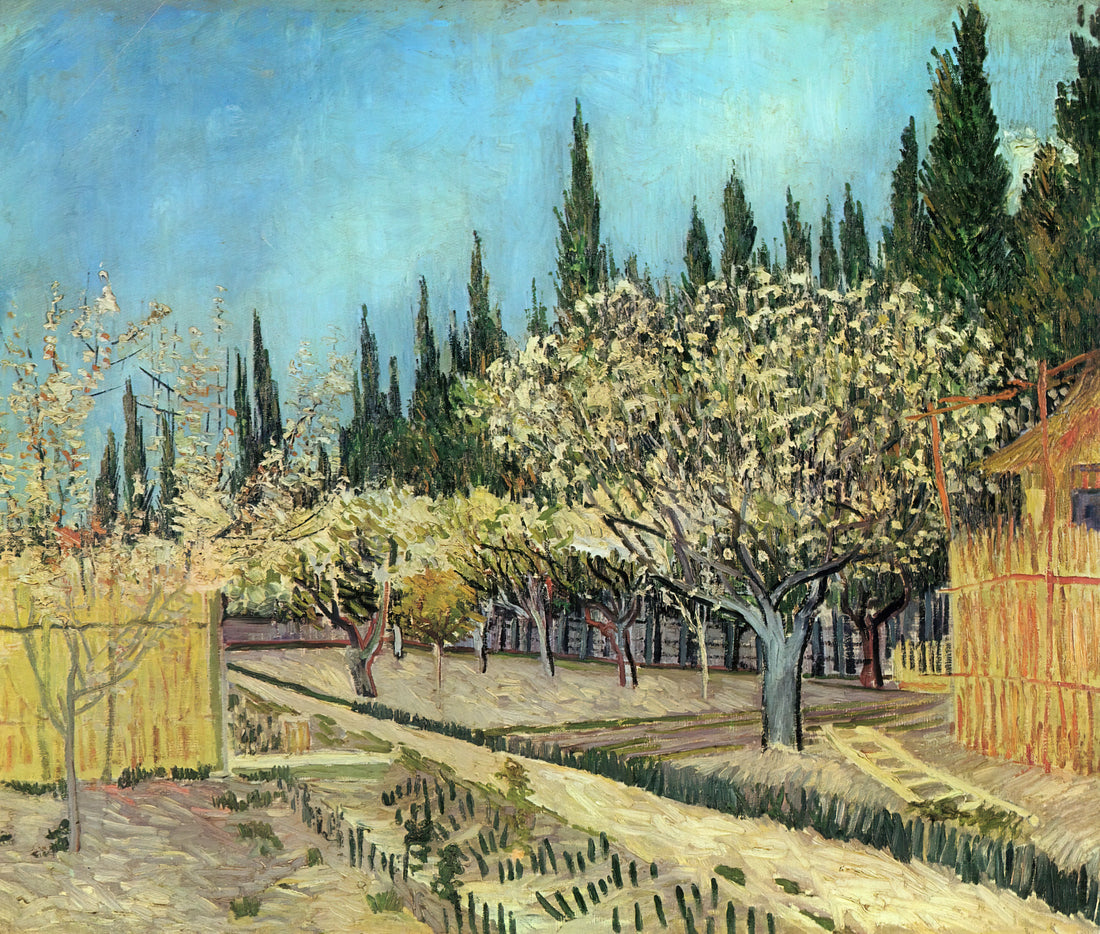 Vincent van Gogh Sunflowers Print: A Collector's Guide to the Iconic Series - Orchard in Blossom, Bordered by Cypresses by Vincent van Gogh