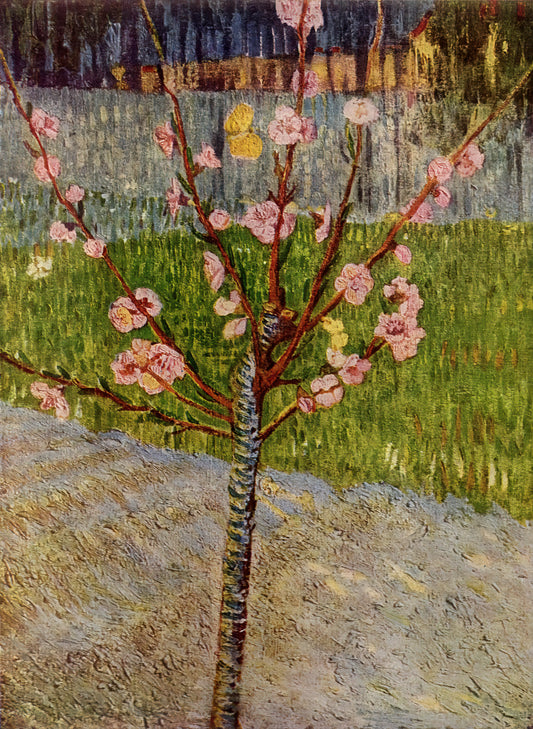 Vincent van Gogh and Japanese Prints: The Transformative Influence of Ukiyo-e on a Master - Almond Tree in Blossom by Vincent van Gogh