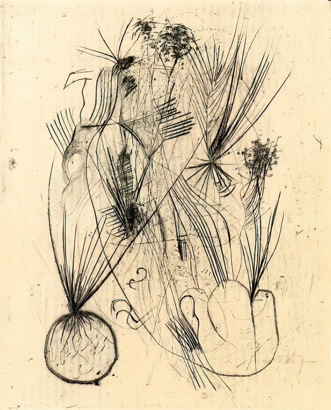 Wols Peinture: Exploring the Visionary World of a Tachisme Pioneer - Planta tuberosa - Surrealism by Wols