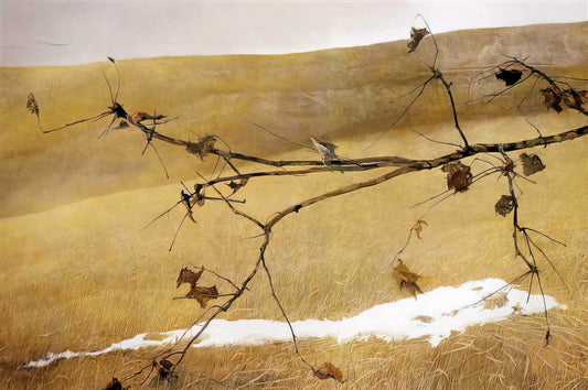 Wyeth Portrait: The Intimate Realism of Andrew Wyeth's Human Subjects - LONG LIMB by Andrew Wyeth