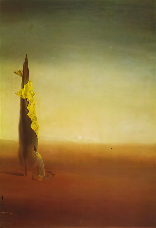 Was ist die Verbindung zwischen Dalí, Freud und dem Belvedere?