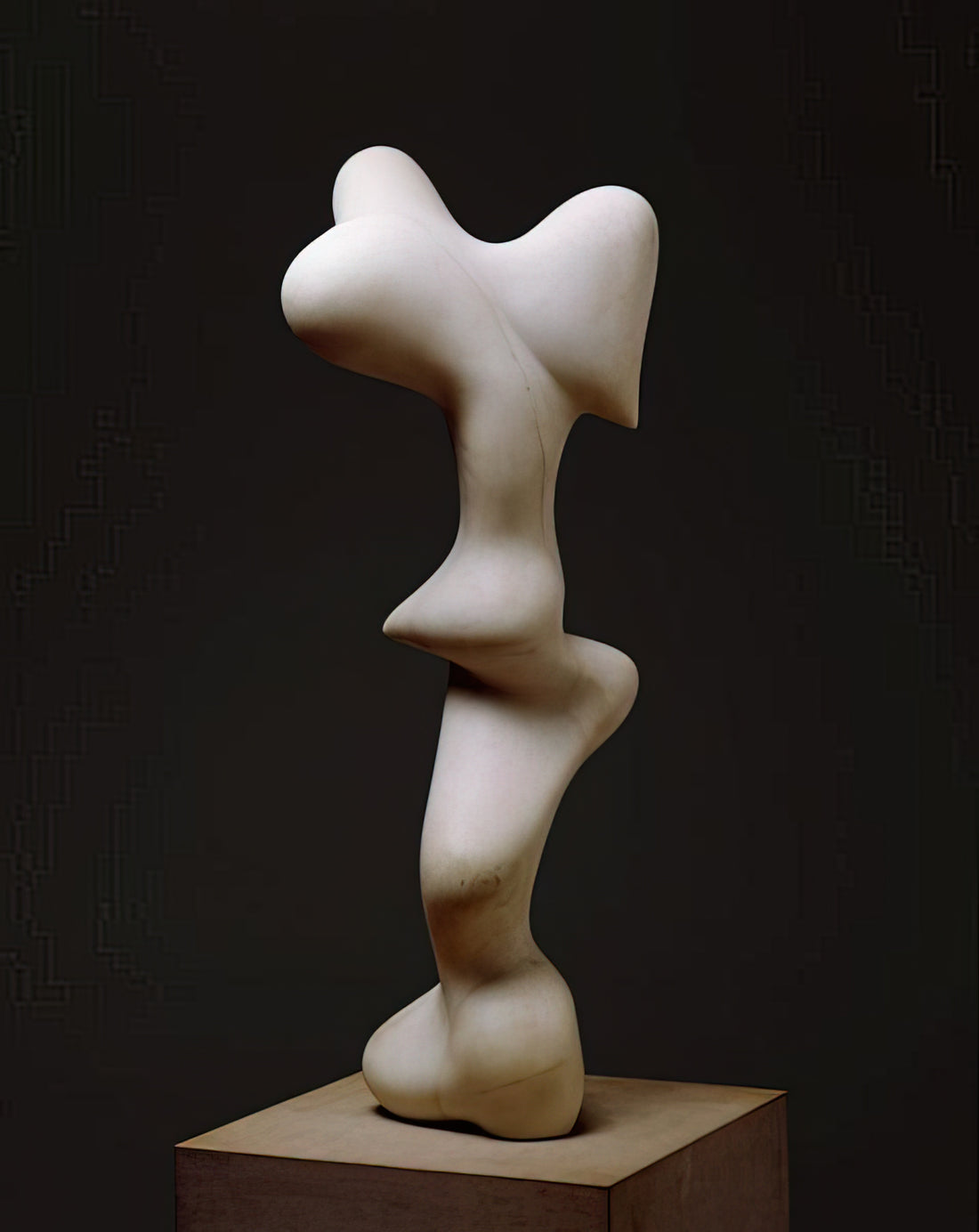 Wer war Hans Arp und warum ist er ein bedeutender Künstler des 20. Jahrhunderts?