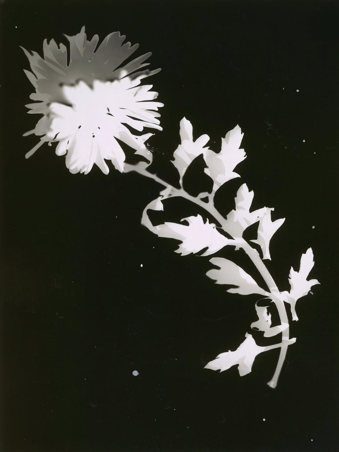 Was sind die berühmtesten Kunstwerke von László Moholy-Nagy?